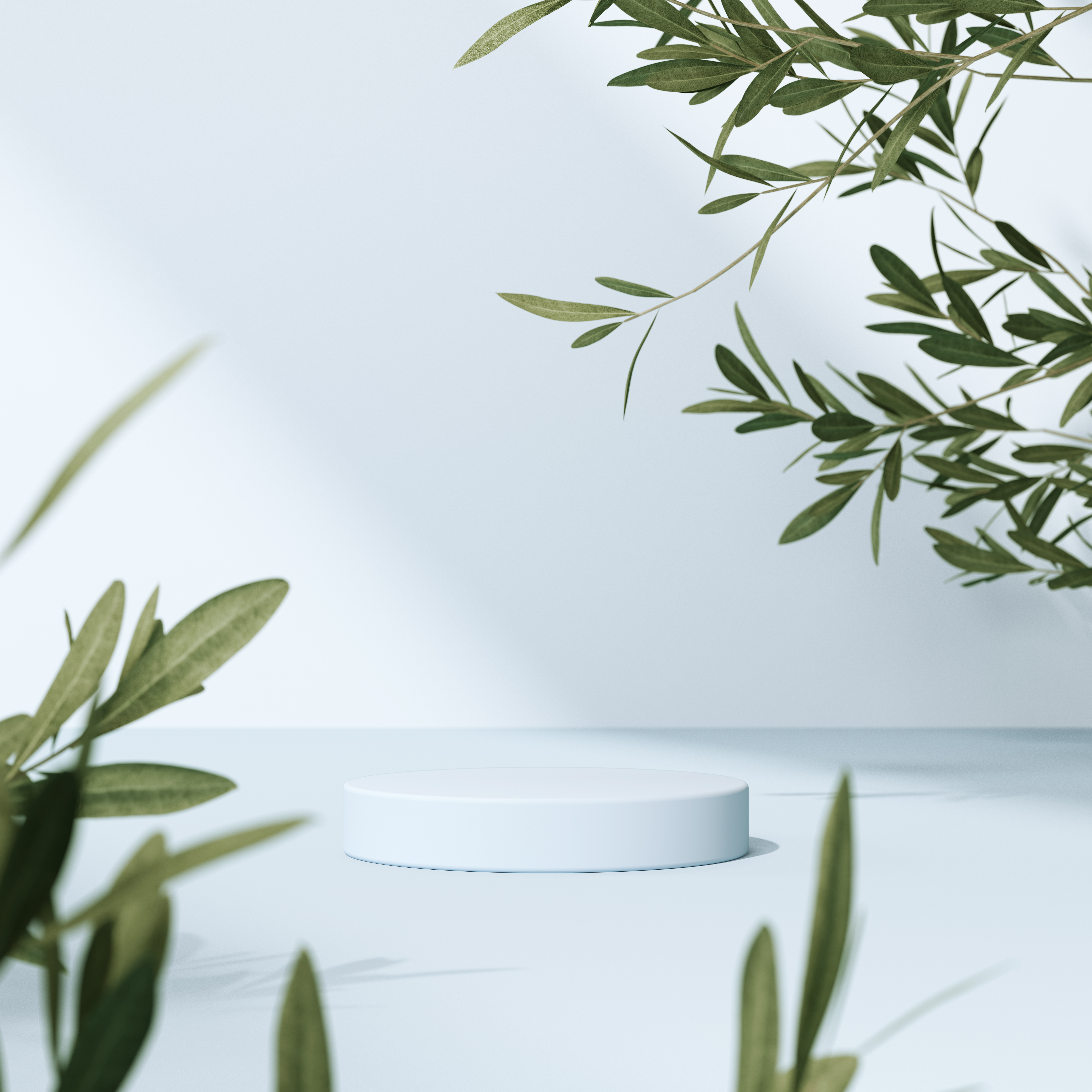 Navicle product visual